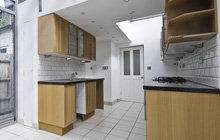 Newry And Mourne kitchen extension leads